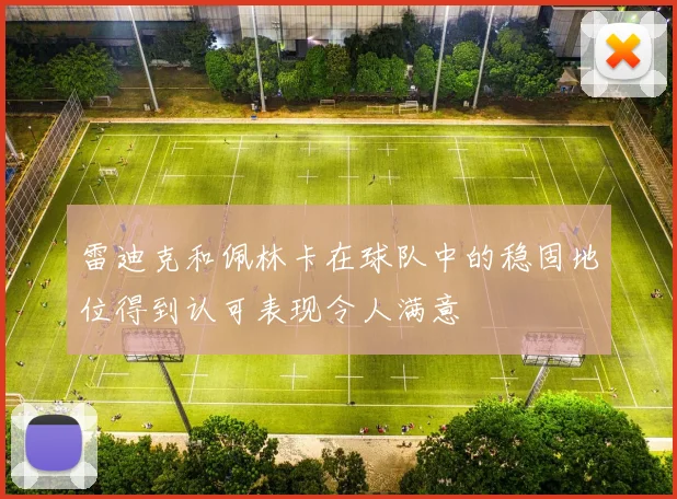 雷迪克和佩林卡在球队中的稳固地位得到认可表现令人满意