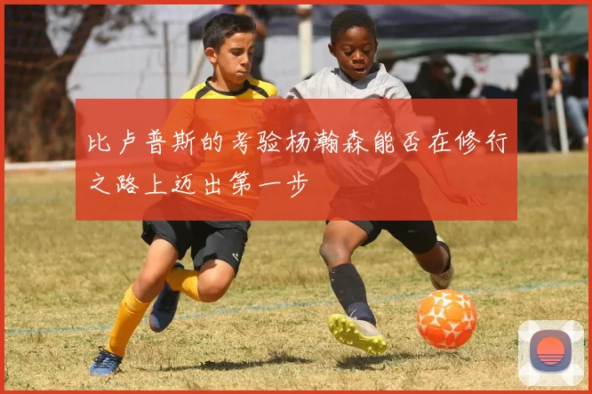 比卢普斯的考验杨瀚森能否在修行之路上迈出第一步
