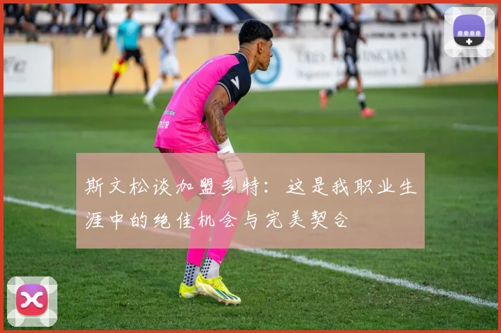 斯文松谈加盟多特：这是我职业生涯中的绝佳机会与完美契合