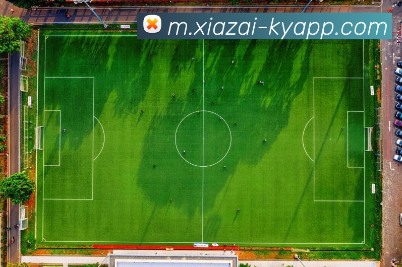 多媒体互动体验